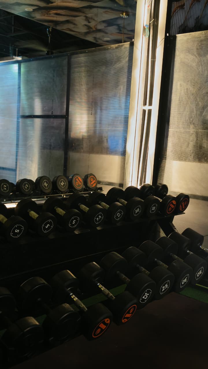 Dumbbell Rack